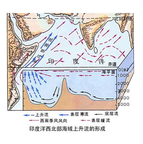 索马里洋流 索马里洋流
