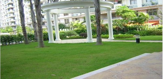 外景图 外景图