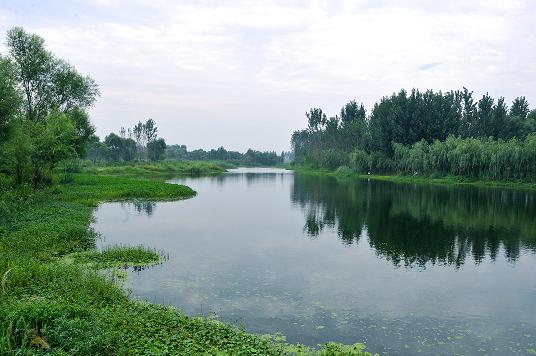 济西黄河湿地 济西黄河湿地
