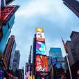 纽约时报广场 纽约时报广场