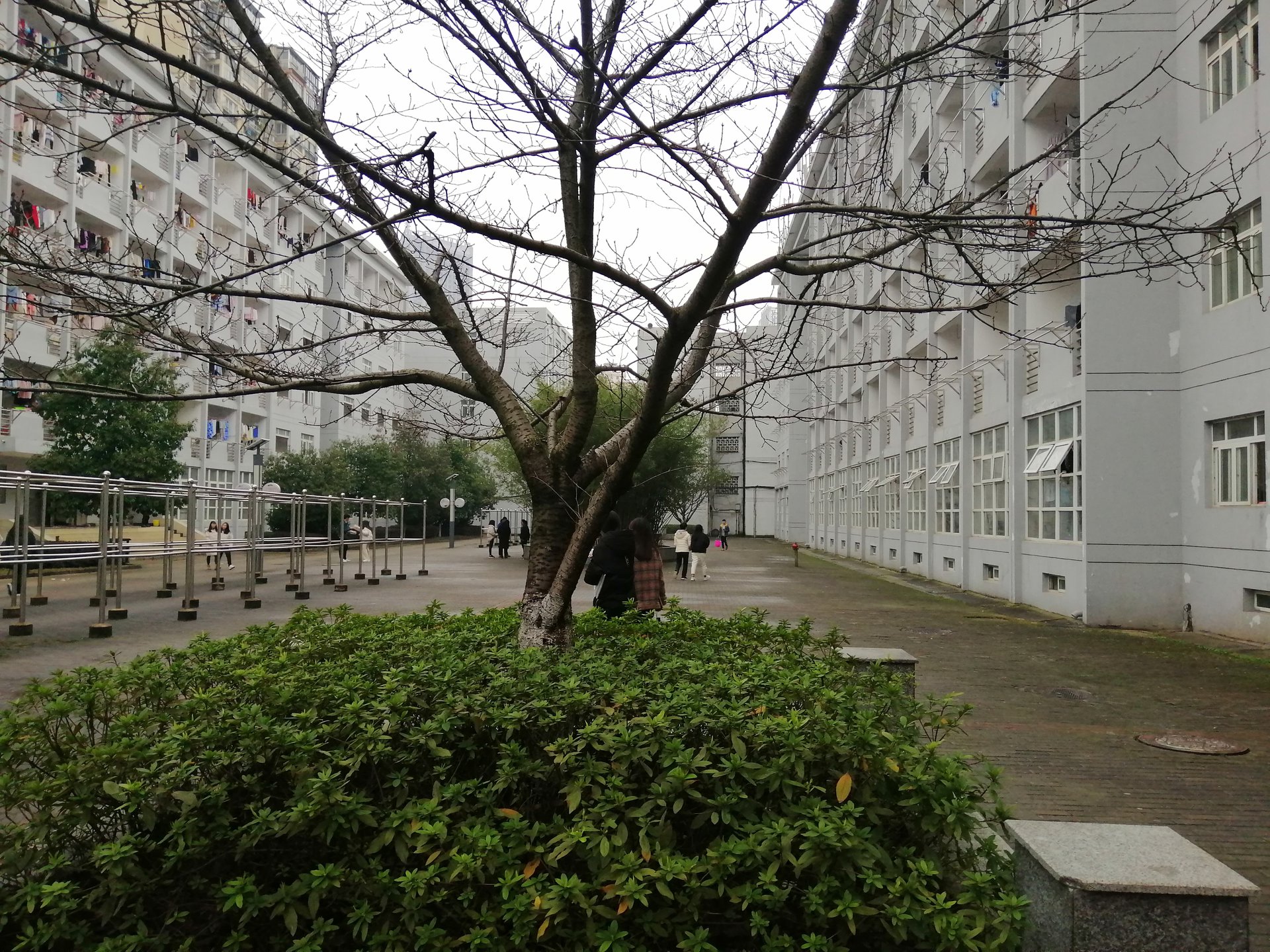 江西工程职业学院校园风光 江西工程职业学院校园风光
