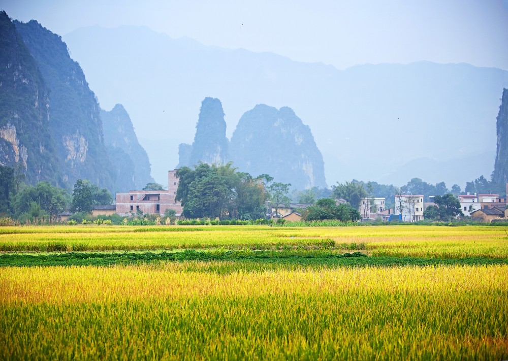 景象 景象