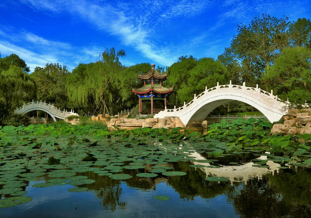 西沽公园 西沽公园
