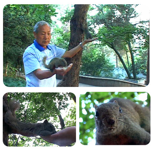 动感昆明 动感昆明