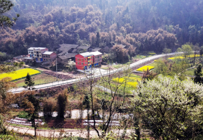 落花村-1