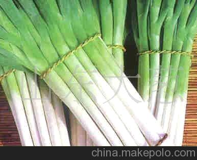 章化大葱 章化大葱