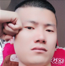 刘振华