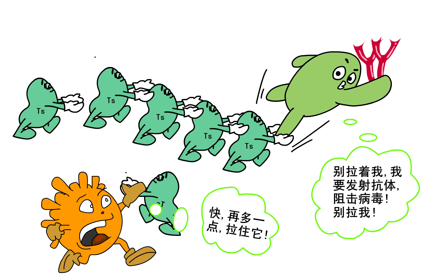 病毒性危害 病毒性危害