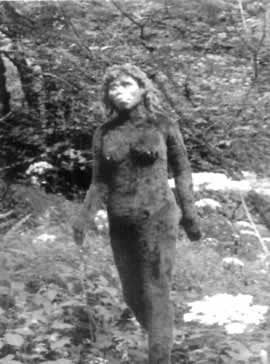 野人之谜 野人之谜