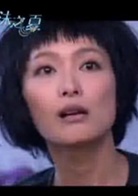 泡沫之夏(2010年徐熙媛、何润东、黄晓明主演电视剧)