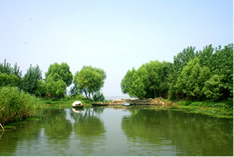 老湖镇