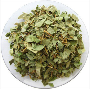 金钱草茶 金钱草茶