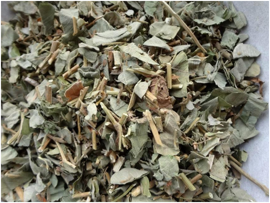 金钱草(中药) 金钱草(中药)