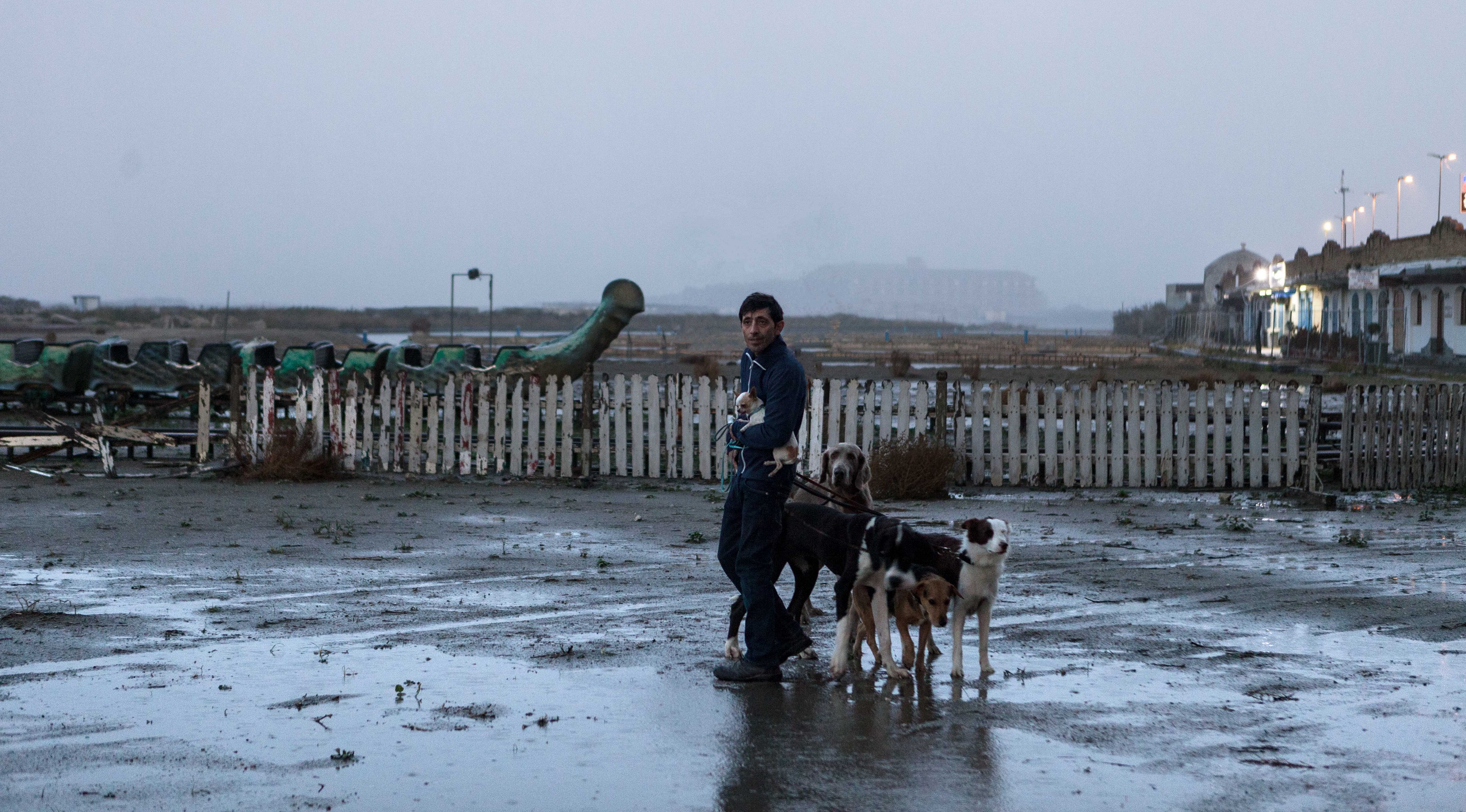 犬舍惊魂 犬舍惊魂