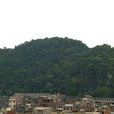 翠屏山(广西忻城翠屏山)