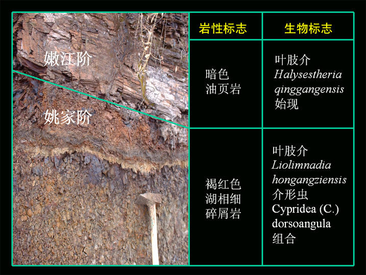 白垩系 白垩系