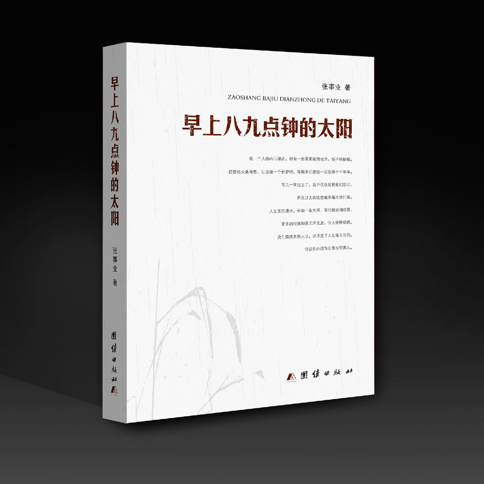 早上八九点钟的太阳 早上八九点钟的太阳