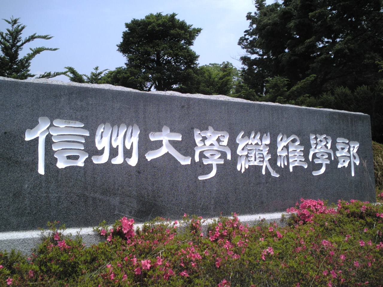 纤维学部