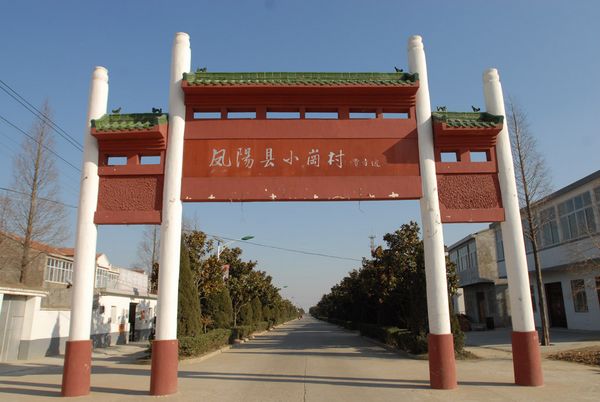 小岗村(安徽省定远县二龙回族乡下辖村) 小岗村(安徽省定远县二龙回族乡下辖村)