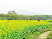 蒙花布乡村公园 蒙花布乡村公园
