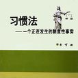 习惯法(法学术语)