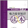 电力企业新员工必读:电力安全知识读本 电力企业新员工必读:电力安全知识读本