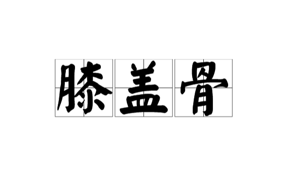 膝盖骨