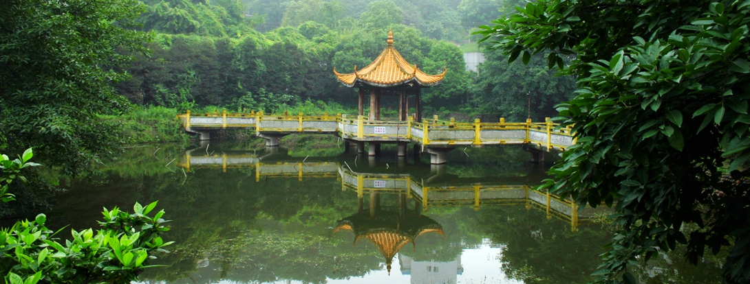 校园全景 校园全景