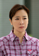 复婚(2010年陈小艺、许亚军主演电视剧)