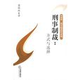 刑事制裁：方式与选择
