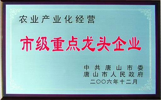 唐山金翔纺织集团 唐山金翔纺织集团