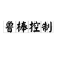 鲁棒控制