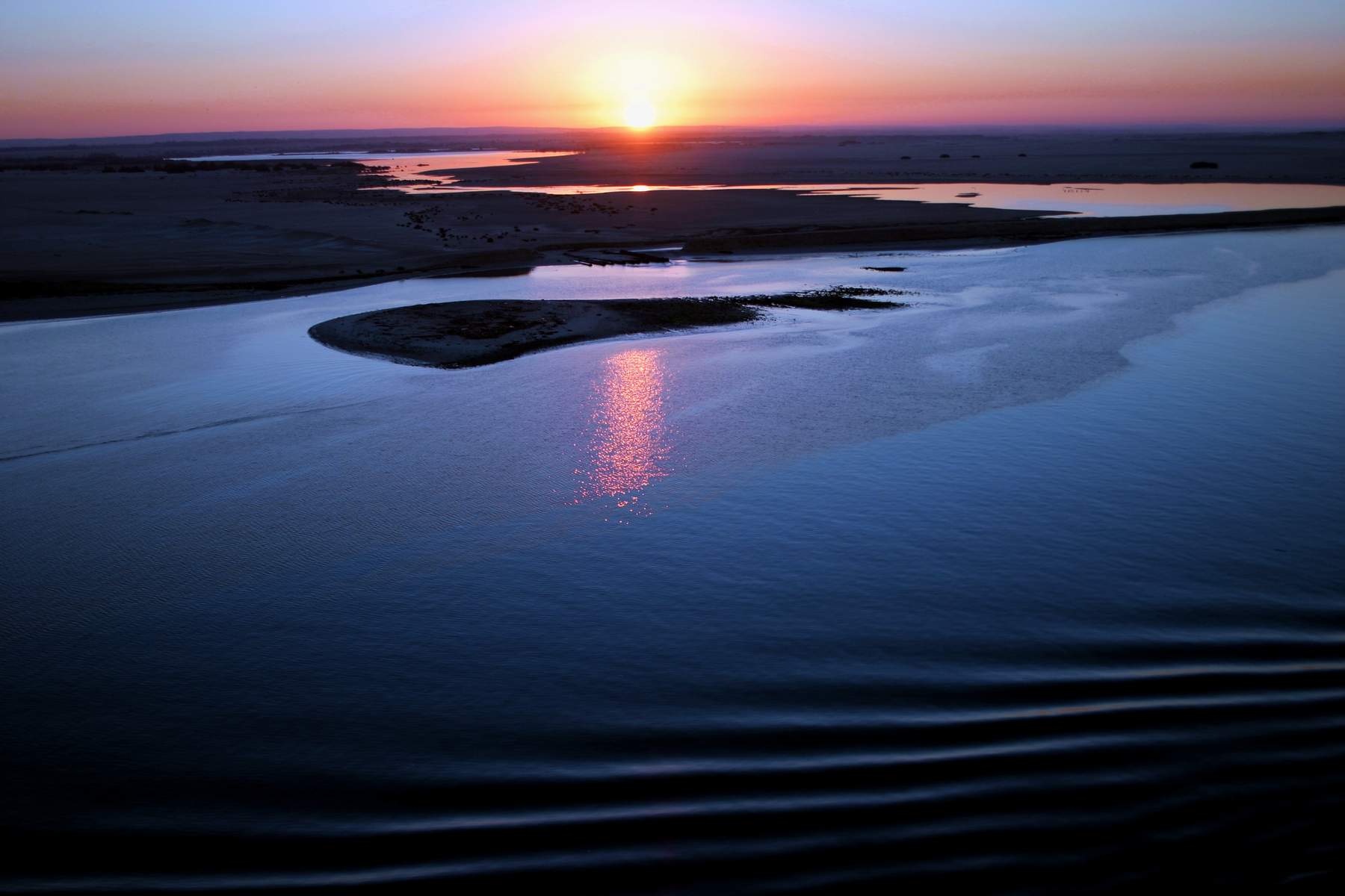 鹿特丹湿地
