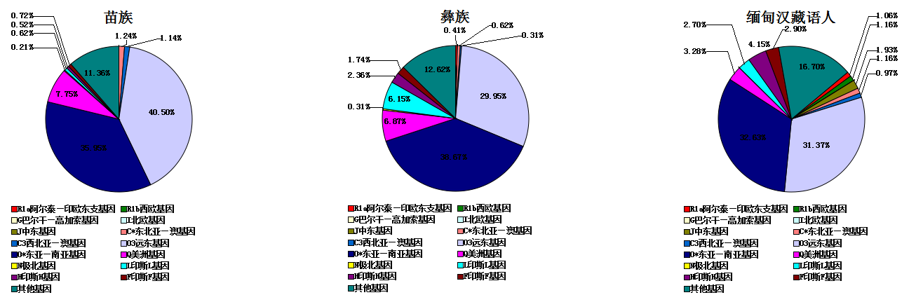 世界人种基因图谱 世界人种基因图谱