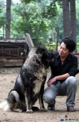 张津瑞和他的爱犬