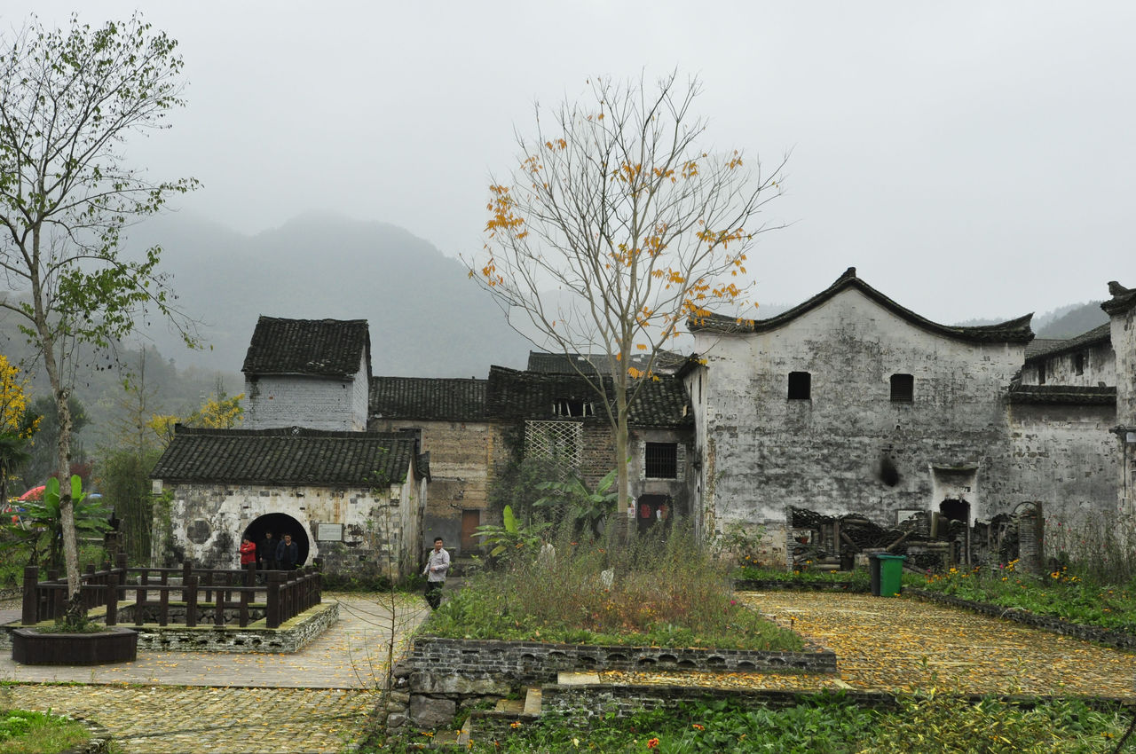 新光村(浙江省绍兴市上虞市崧厦镇新光村)