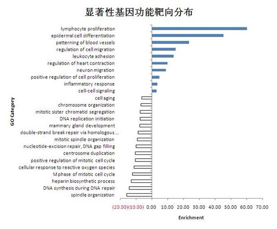 基因功能分析 基因功能分析