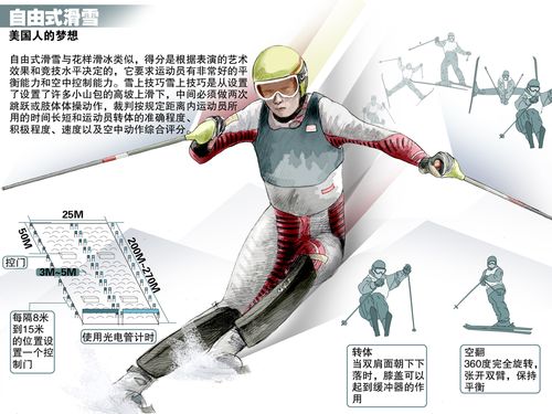 自由式滑雪 自由式滑雪