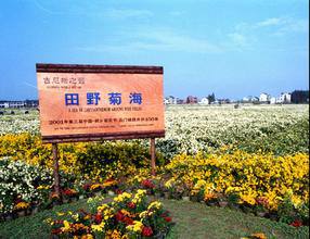石门镇
