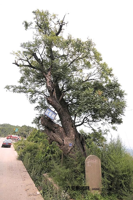 广元红军山 广元红军山