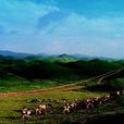 南山风景名胜区(邵阳城步南山国家级风景名胜区)