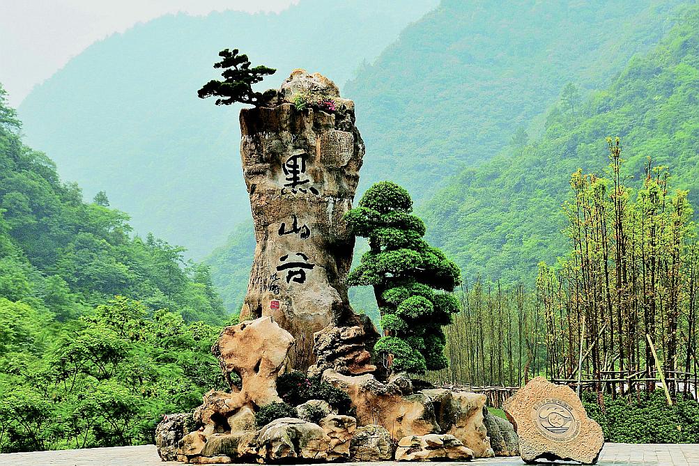 重庆市万盛经开区黑山谷景区 重庆市万盛经开区黑山谷景区