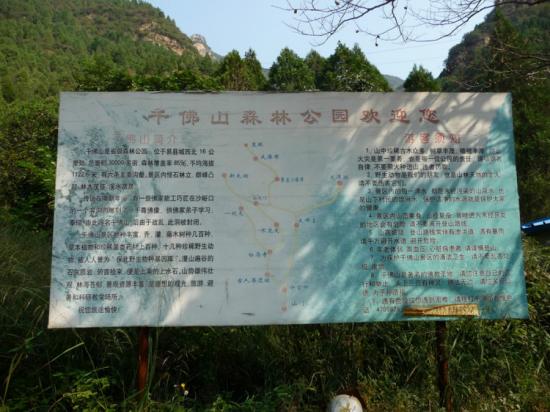 千佛山森林公园 千佛山森林公园