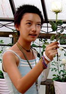 好奇害死猫(电影)