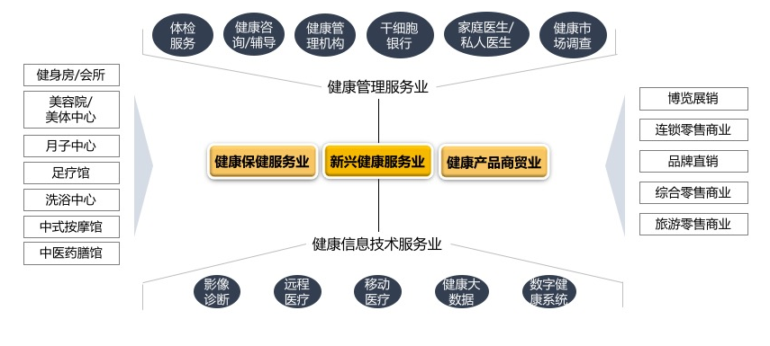 新兴健康服务业尤其值得关注