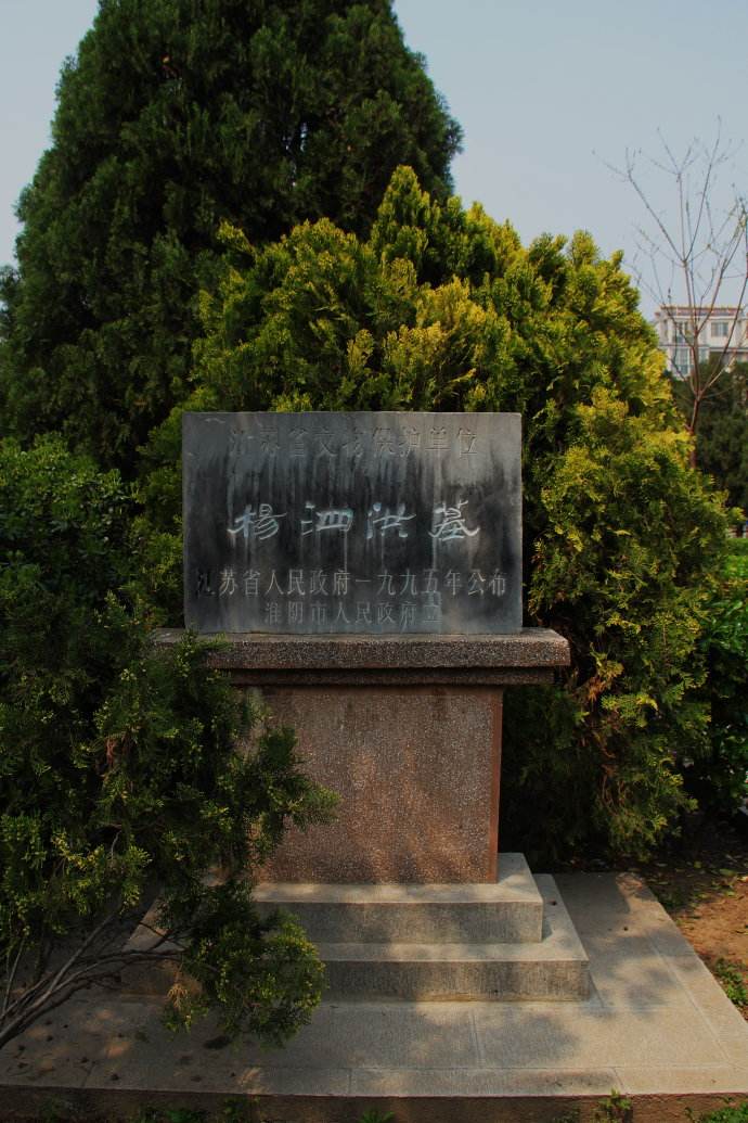 杨泗洪 杨泗洪