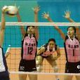 2007年全国女排锦标赛 2007年全国女排锦标赛