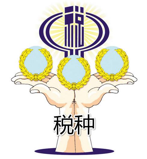 税种 税种