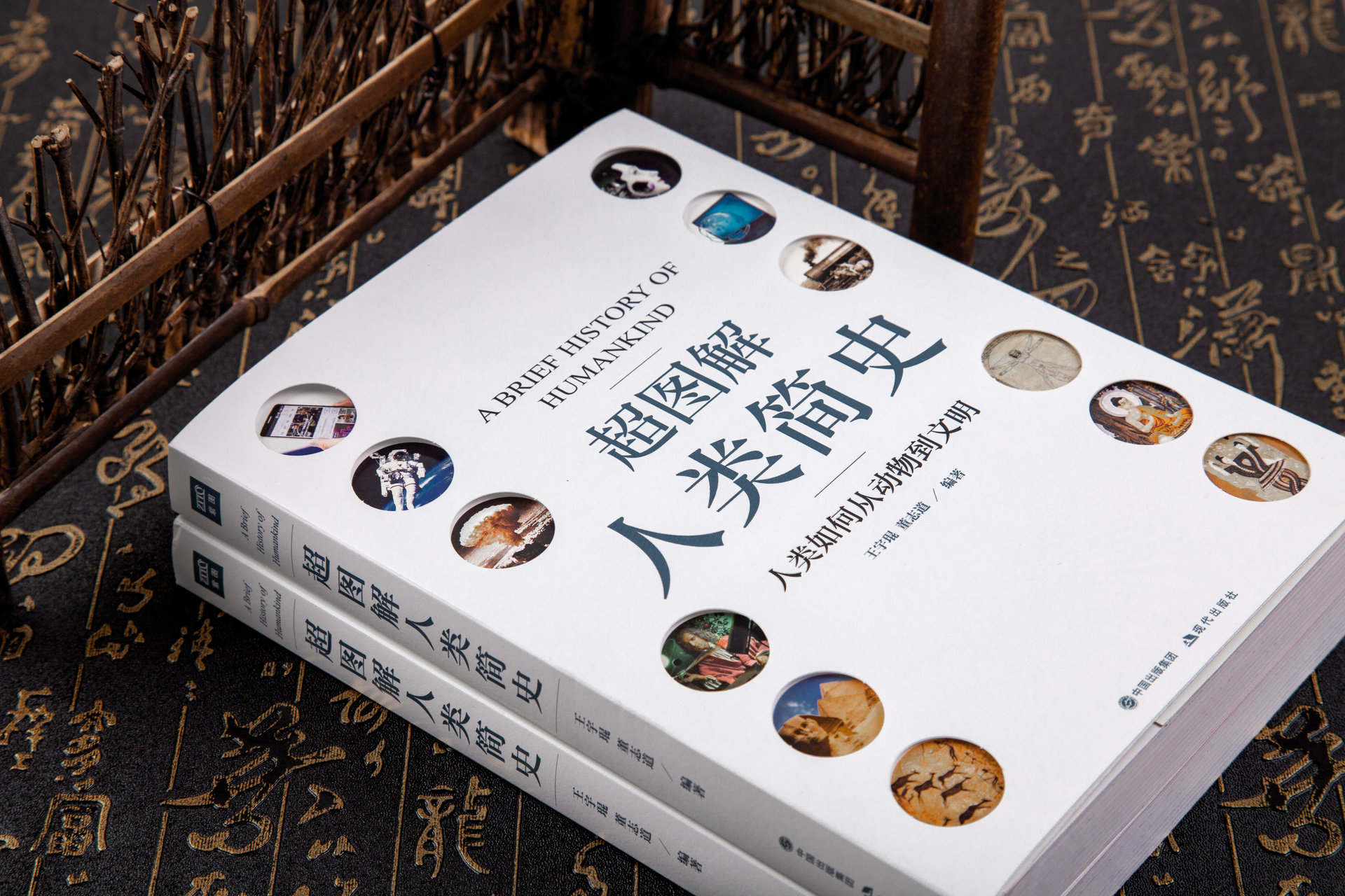 超图解人类简史