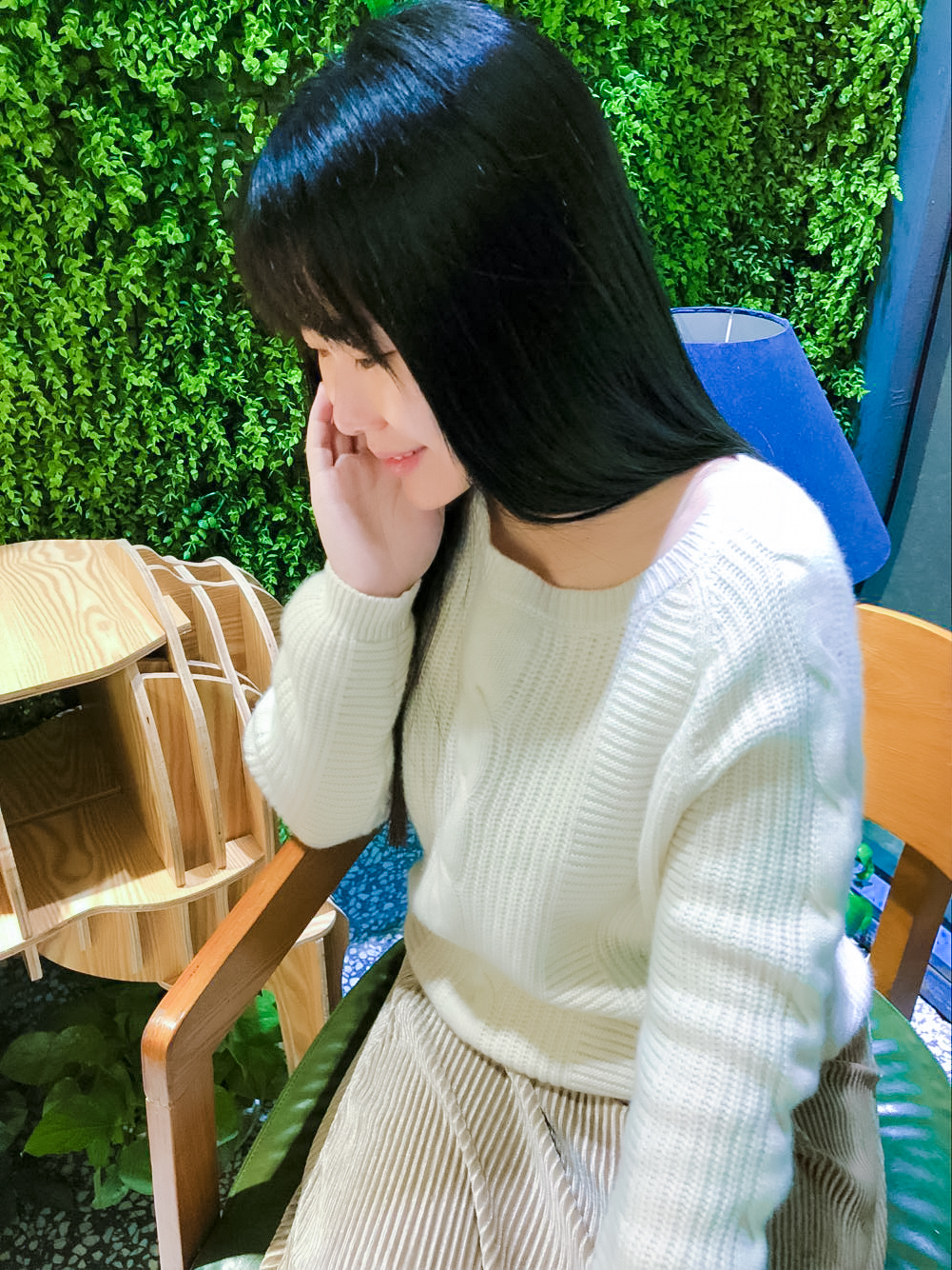冬天的柳叶 冬天的柳叶